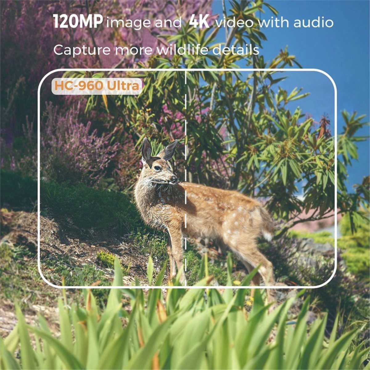 Hunting Outdoor Shows - Aggiornamento. Fotocamera da Caccia 4G per