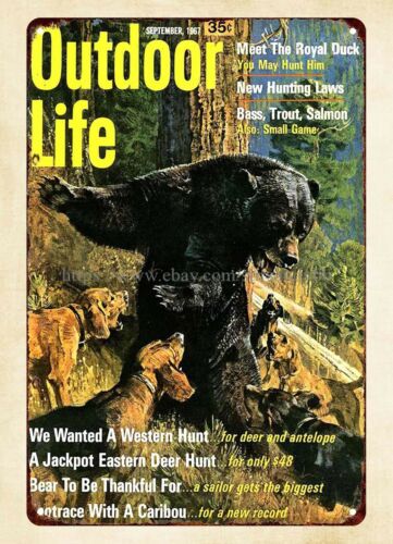 Outdoor Hunting Dogs - Decorazione da parete per ufficio 1967