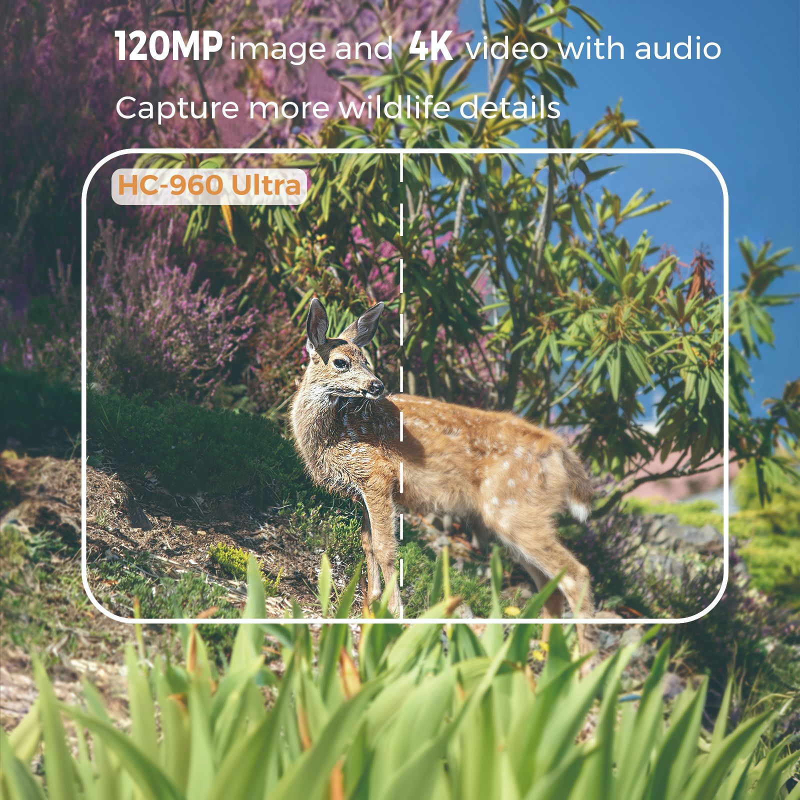 Video 4K esterno 120MP Foto 4G - Outdoor Hunting Videos recensione e prezzo