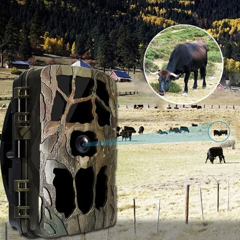 H982 IP66 Impermeabile 4K Este - Outdoor Hunting Videos recensione e prezzo