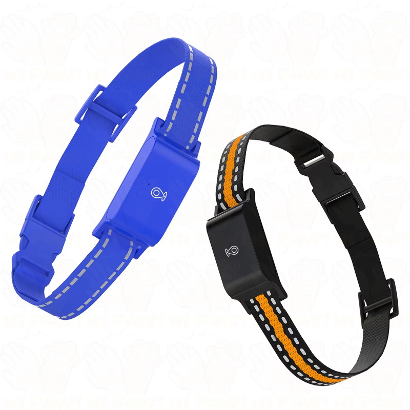 Localizzatore GPS per Cani, Di - Outdoor Hunting Dogs recensione e prezzo