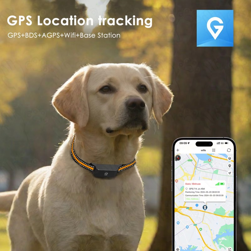 Localizzatore GPS per Cani, Di - Outdoor Hunting Dogs recensione e prezzo