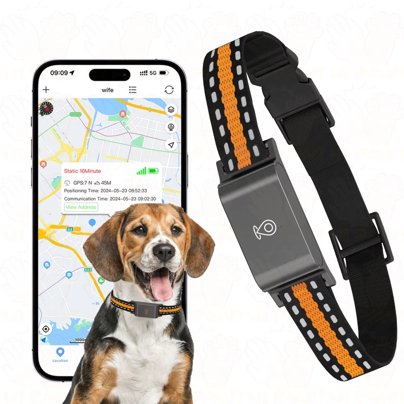 Localizzatore GPS per Cani, Di - Outdoor Hunting Dogs recensione e prezzo