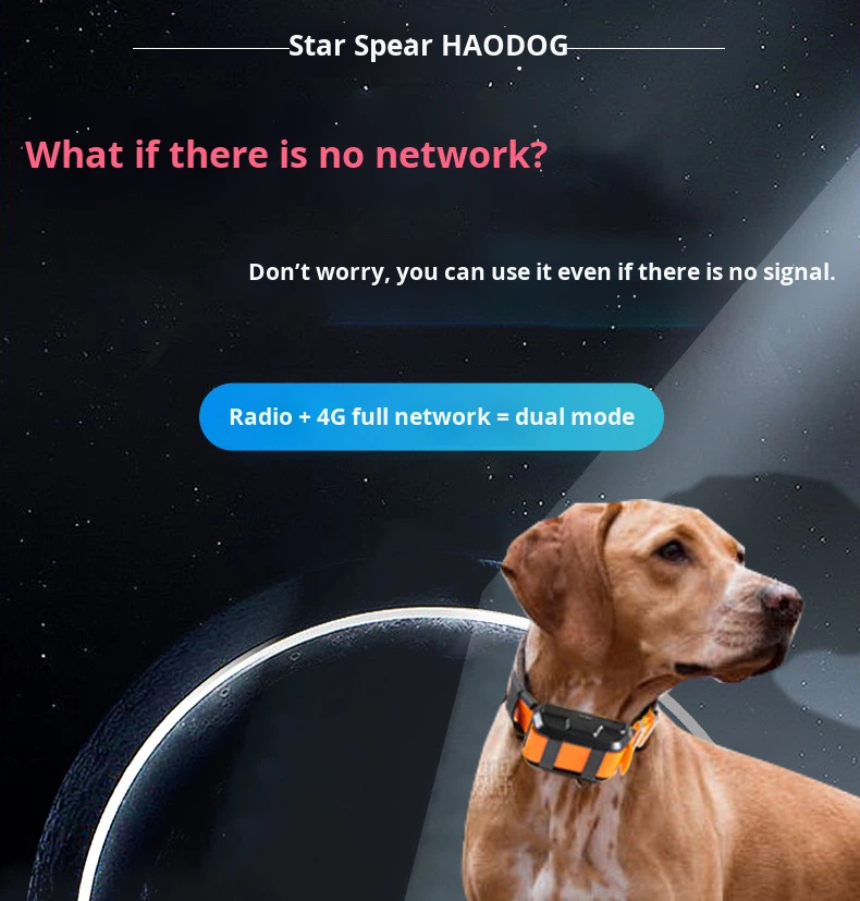 Collare di Posizionamento GPS  - Outdoor Hunting Dogs recensione e prezzo